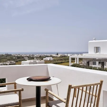 Luxury Naxos Luxury Air Conditioning Private Pool 2 Bedrooms Stelida Villa