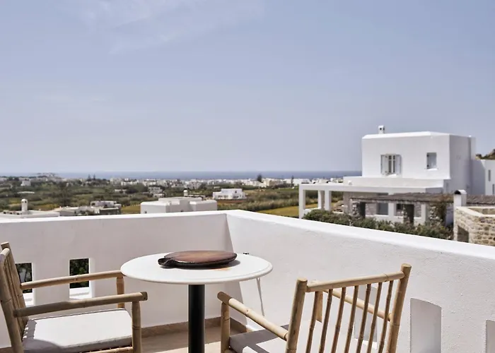 Luxury Naxos Luxury Air Conditioning Private Pool *